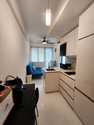 Loft @ Stevens (D10), Apartment #541157271